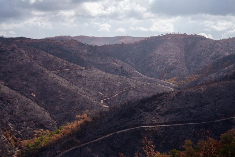 La Junta declara el incendio de Niebla como desastre natural en el potencial agrario y forestal