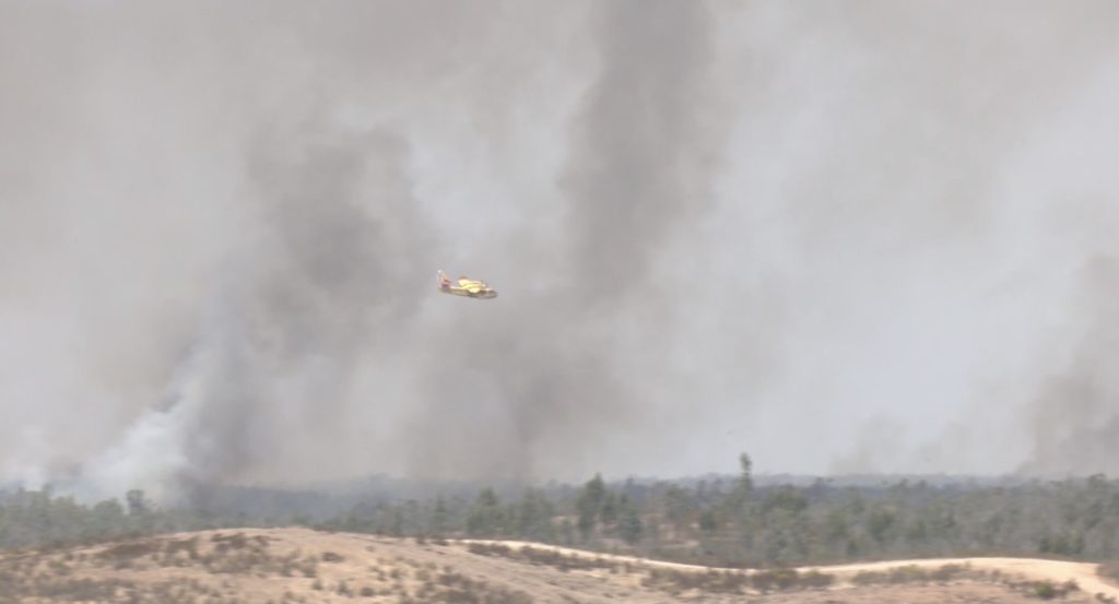 Incendio de Niebla