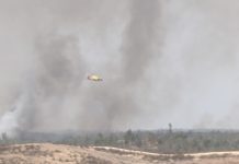 Más de 500 efectivos luchan contra las llamas en el incendio sin control de Niebla Incendio de Niebla