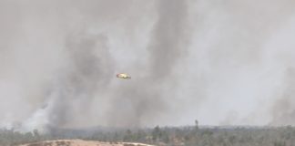 Más de 500 efectivos luchan contra las llamas en el incendio sin control de Niebla Incendio de Niebla