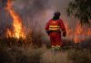 La Junta cifra en 33.000 las hectáreas quemadas por el incendio de Niebla