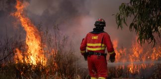 Moreno ve «un paso esperanzador» en la evolución del incendio de Niebla