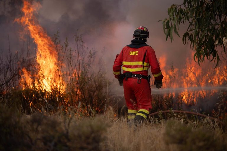 La Junta cifra en 33.000 las hectáreas quemadas por el incendio de Niebla