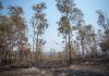 El incendio de Niebla supera las 28.000 hectáreas tras una noche «compleja»