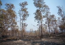 El incendio de Niebla supera las 28.000 hectáreas tras una noche «compleja»
