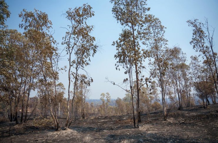 El incendio de Niebla supera las 28.000 hectáreas tras una noche «compleja»