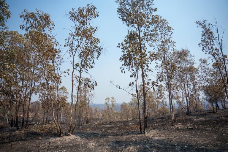 El incendio de Niebla supera las 28.000 hectáreas tras una noche «compleja»