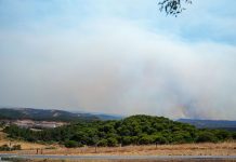 Evolución positiva del incendio de Niebla
