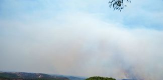 Evolución positiva del incendio de Niebla