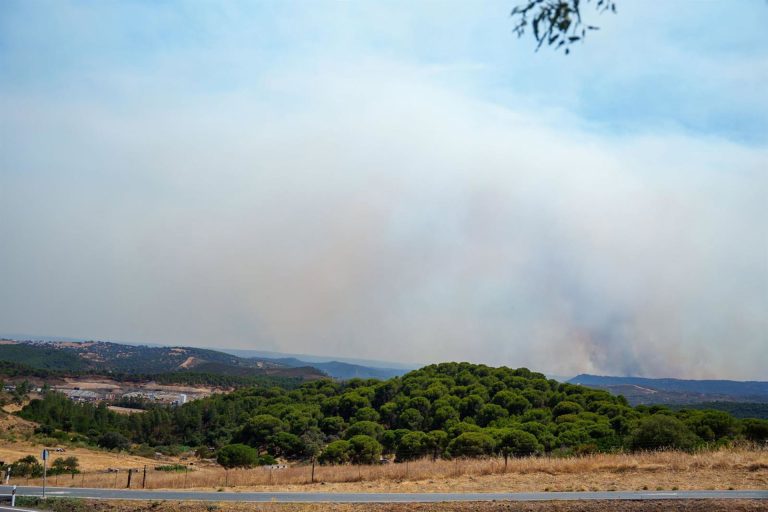 Evolución positiva del incendio de Niebla