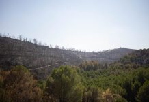 La Junta trabaja para declarar ‘desastre natural’ en las áreas afectadas por el incendio de Niebla
