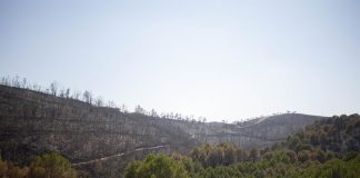 La Junta trabaja para declarar ‘desastre natural’ en las áreas afectadas por el incendio de Niebla