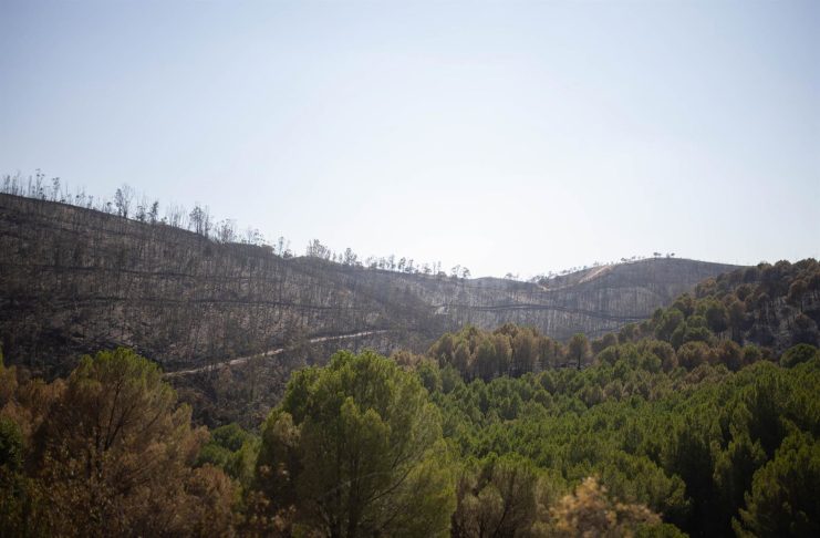 La Junta trabaja para declarar ‘desastre natural’ en las áreas afectadas por el incendio de Niebla