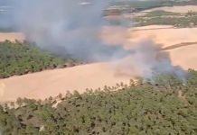 Un incendio en Villablanca moviliza a 28 efectivos del Infoca Incendio Villablanca