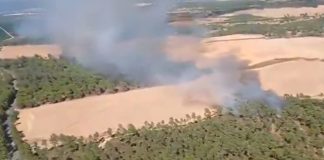 Un incendio en Villablanca moviliza a 28 efectivos del Infoca Incendio Villablanca