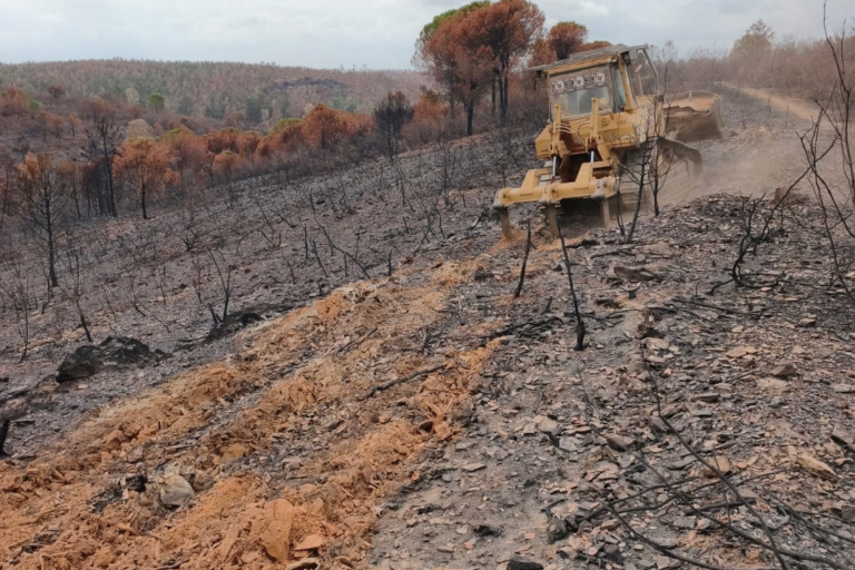 Comienzan las obras de emergencia por el incendio de Niebla