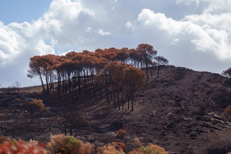 La Junta invierte más de 3,6 millones en obras de emergencia tras el incendio de Niebla
