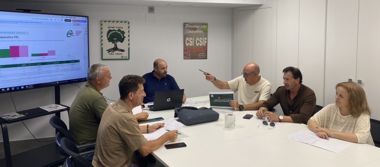 CSIF refuerza su asesoramiento en sanidad ante una «oportunidad única» para el empleo