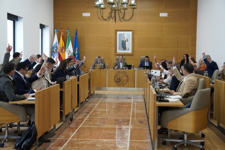 El Pleno de la Diputación se une en defensa de la salud mental