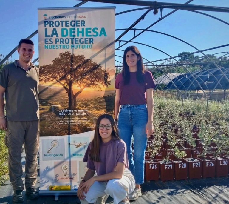 Diputación y UHU ensayan especies y tratamientos contra la seca y la sequía